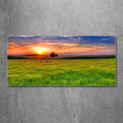 Tableau photo sur verre Coucher de soleil sur la prairie