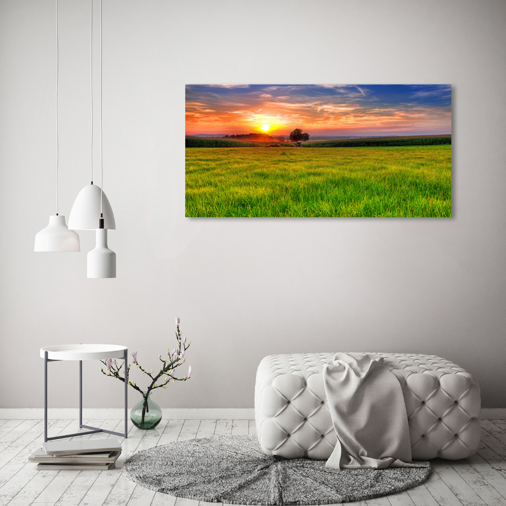 Tableau photo sur verre Coucher de soleil sur la prairie