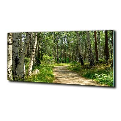 Tableau en verre Sentier dans la forêt