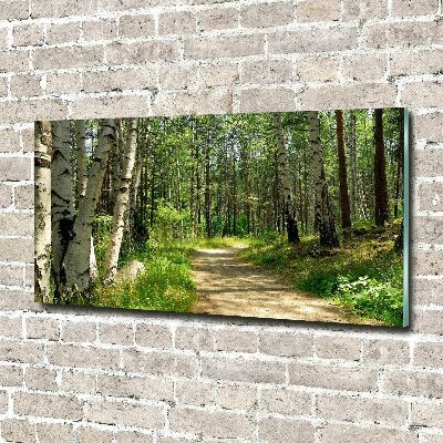 Tableau en verre Sentier dans la forêt