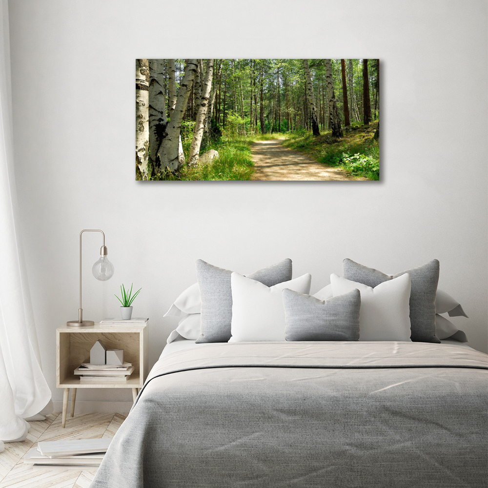 Tableau en verre Sentier dans la forêt