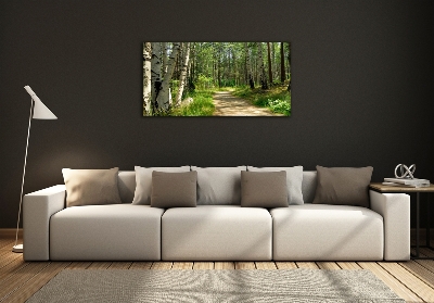 Tableau en verre Sentier dans la forêt