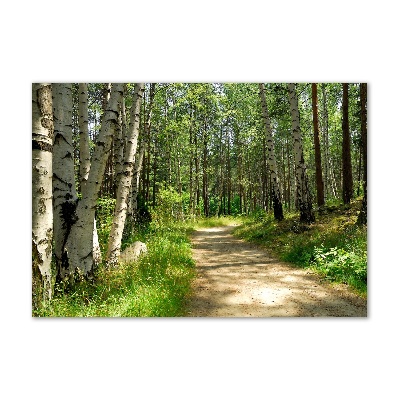 Tableau en verre Sentier dans la forêt