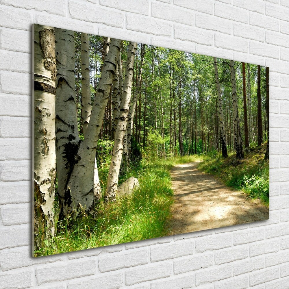 Tableau en verre Sentier dans la forêt