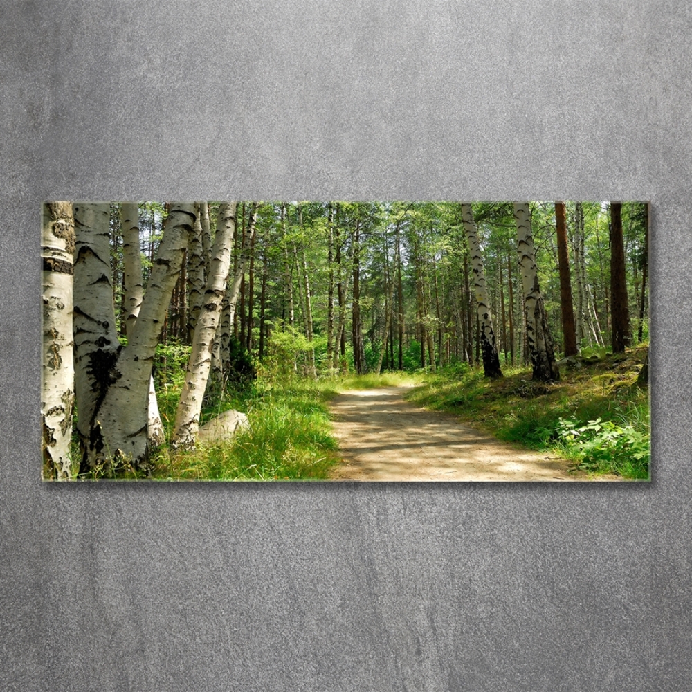 Tableau en verre Sentier dans la forêt