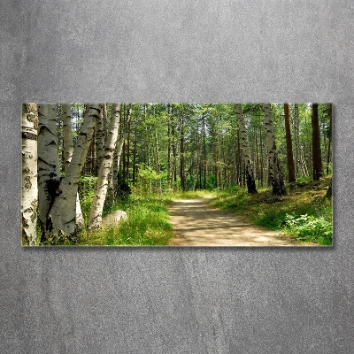 Tableau en verre Sentier dans la forêt