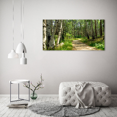 Tableau en verre Sentier dans la forêt