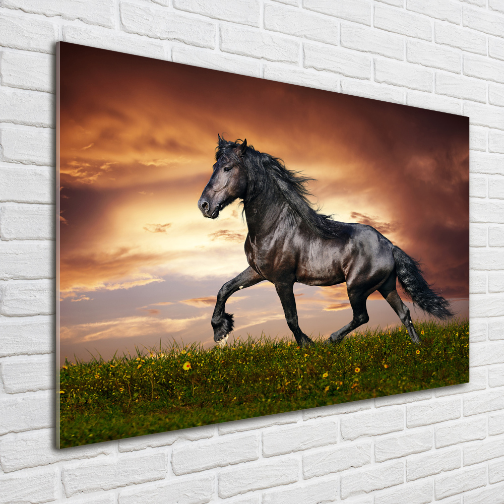 Tableau en verre Cheval au trot