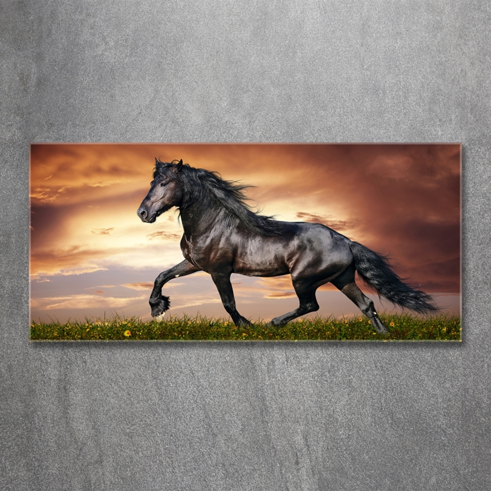 Tableau en verre Cheval au trot