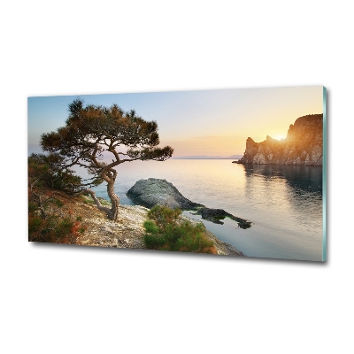 Tableau sur verre Arbre au bord de la mer