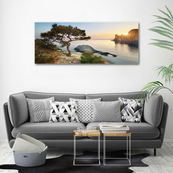 Tableau sur verre Arbre au bord de la mer