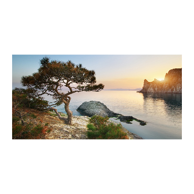 Tableau sur verre Arbre au bord de la mer