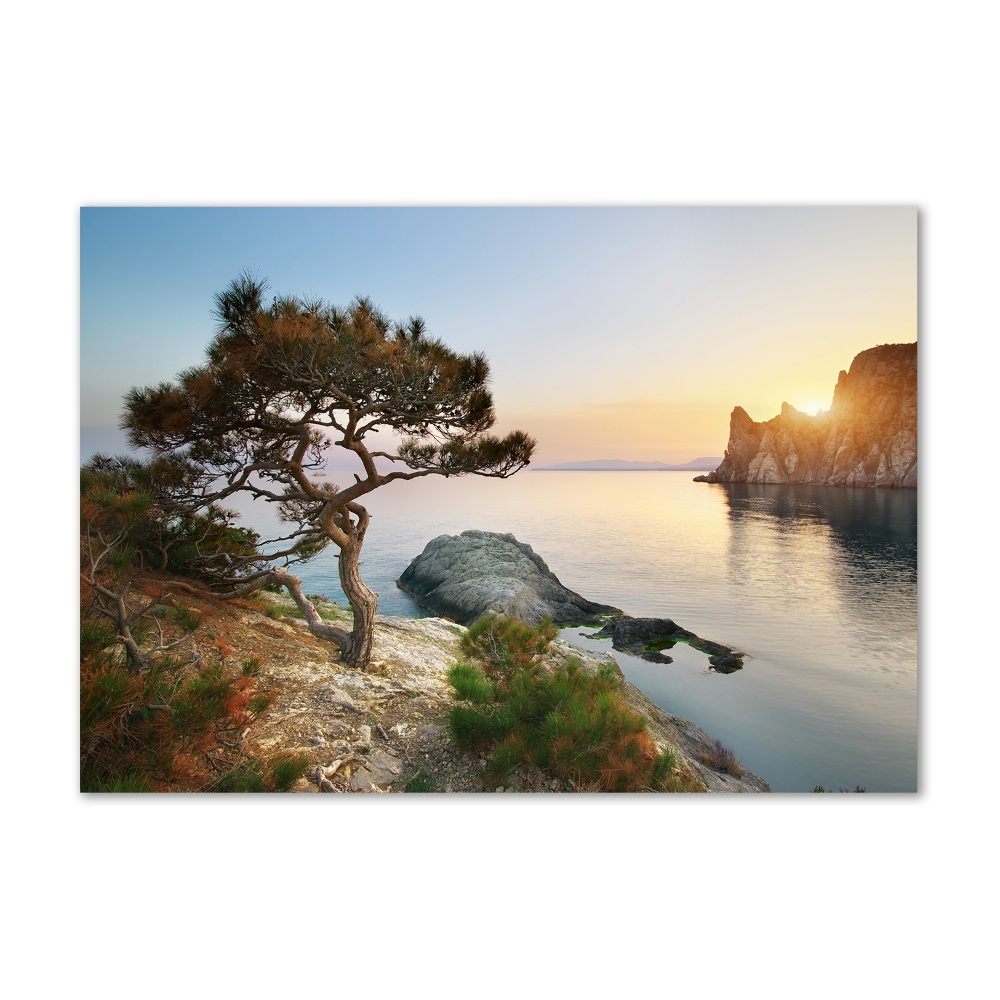 Tableau sur verre Arbre au bord de la mer