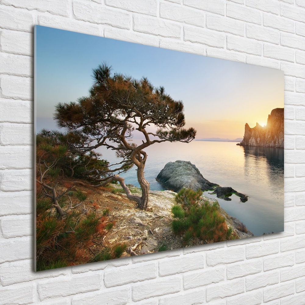 Tableau sur verre Arbre au bord de la mer