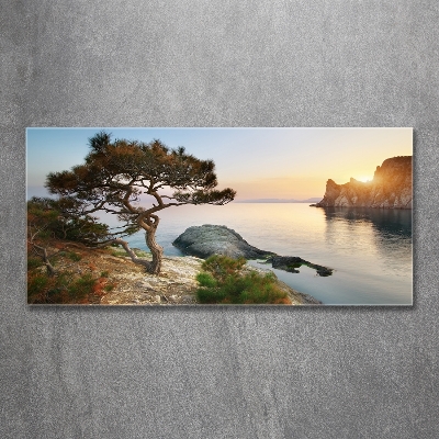 Tableau sur verre Arbre au bord de la mer