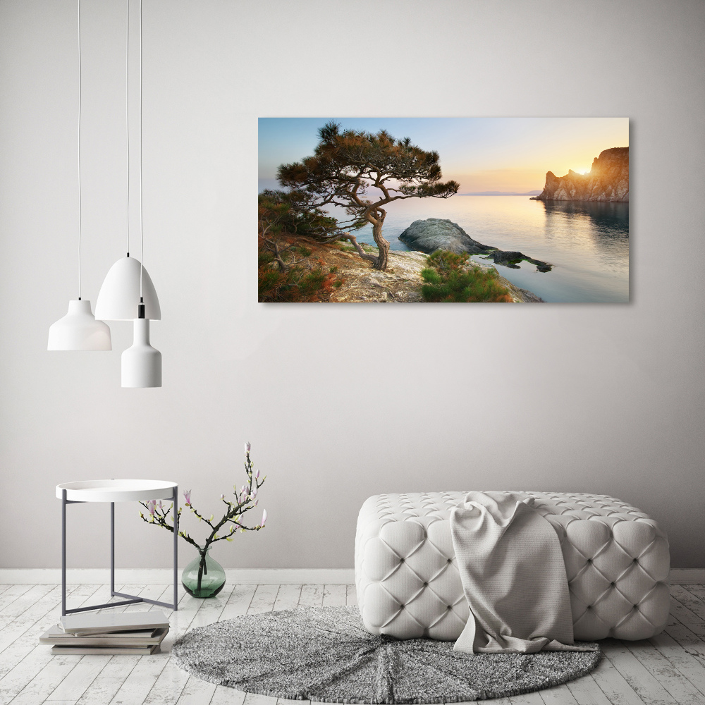 Tableau sur verre Arbre au bord de la mer