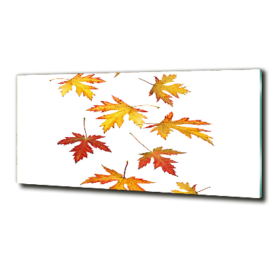 Tableau sur verre Feuilles d'automne