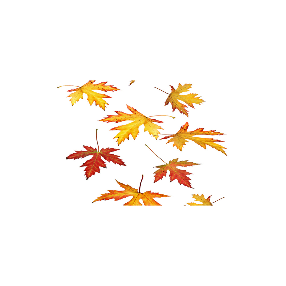 Tableau sur verre Feuilles d'automne