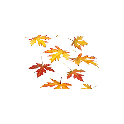 Tableau sur verre Feuilles d'automne