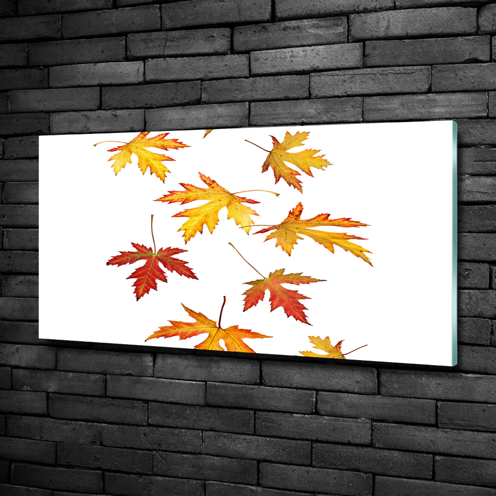 Tableau sur verre Feuilles d'automne