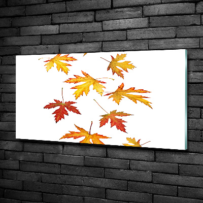 Tableau sur verre Feuilles d'automne