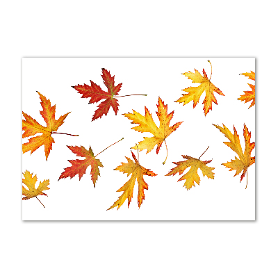 Tableau sur verre Feuilles d'automne