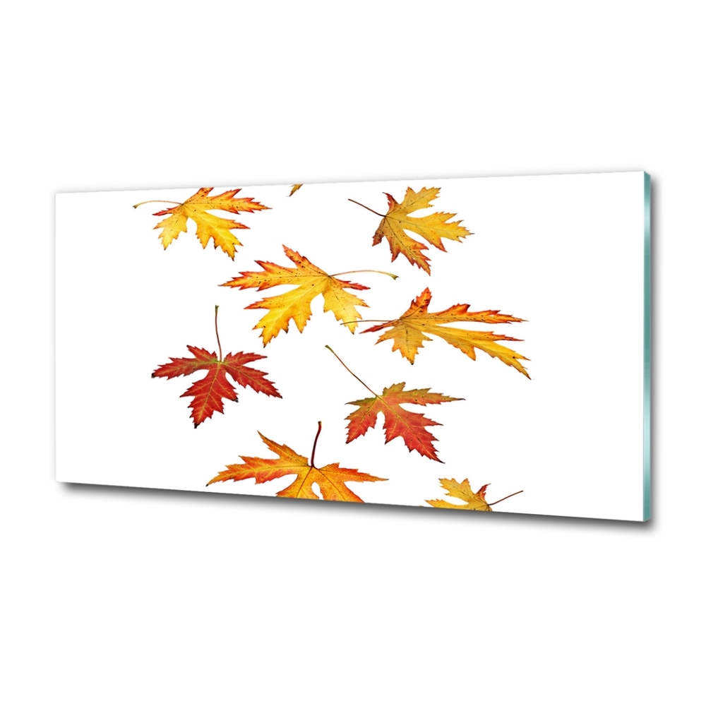 Tableau sur verre Feuilles d'automne