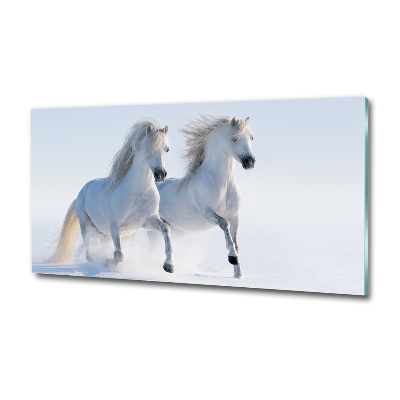 Tableau photo sur verre Deux chevaux dans la neige