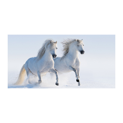 Tableau photo sur verre Deux chevaux dans la neige