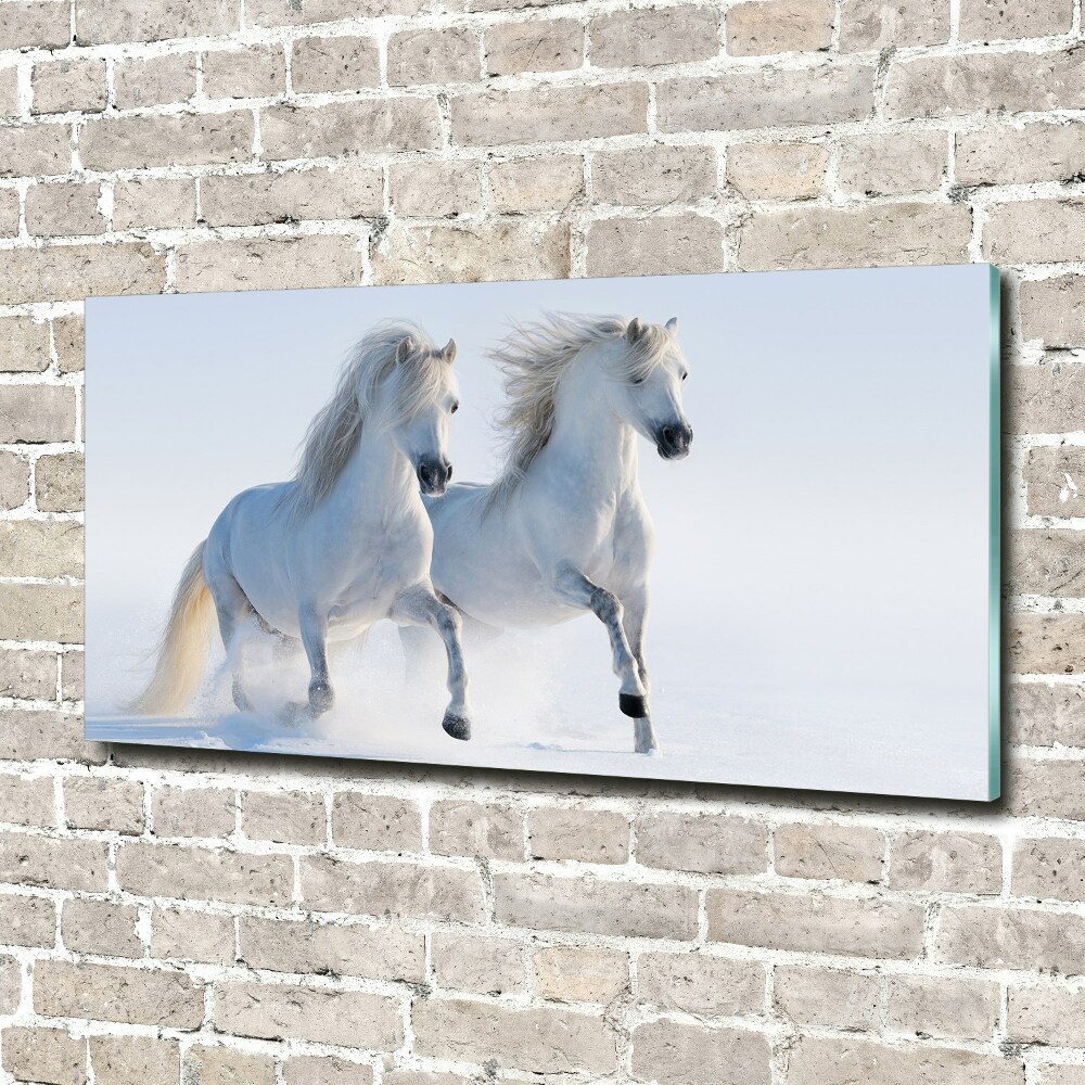 Tableau photo sur verre Deux chevaux dans la neige