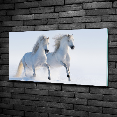 Tableau photo sur verre Deux chevaux dans la neige