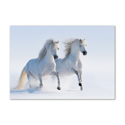 Tableau photo sur verre Deux chevaux dans la neige