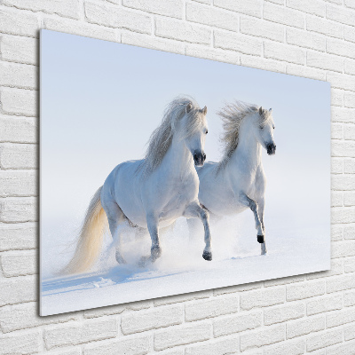 Tableau photo sur verre Deux chevaux dans la neige