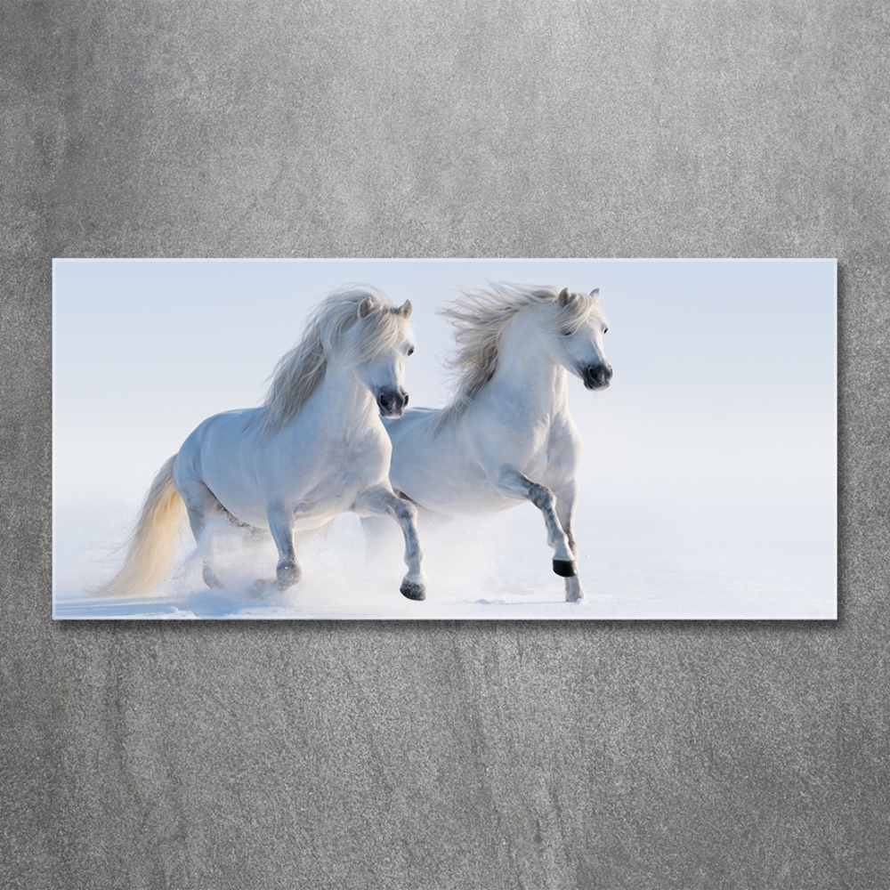 Tableau photo sur verre Deux chevaux dans la neige