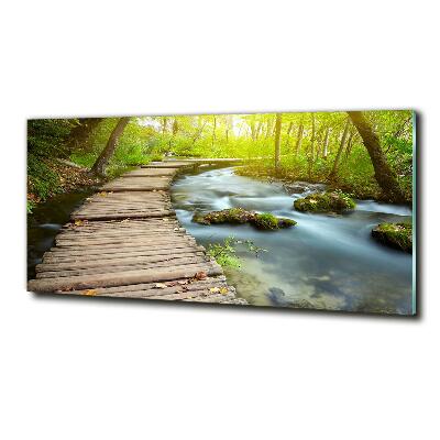 Tableau photo sur verre Chemin au bord de la rivière