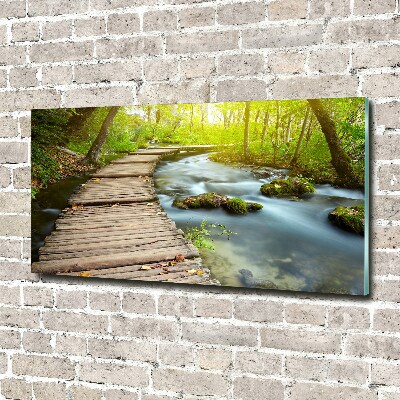 Tableau photo sur verre Chemin au bord de la rivière