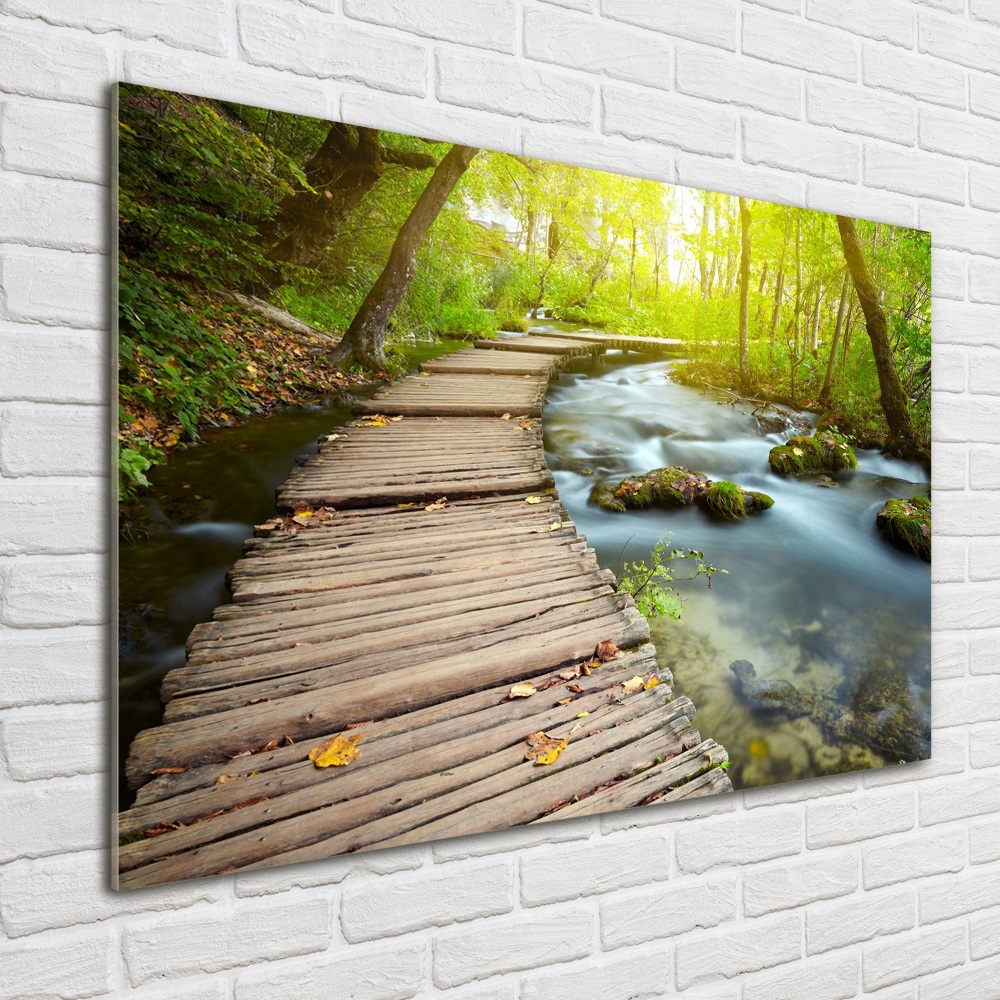 Tableau photo sur verre Chemin au bord de la rivière