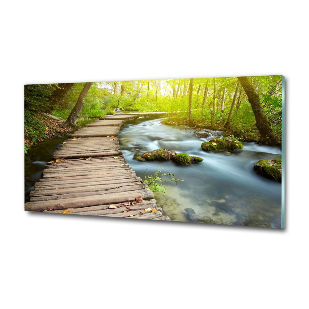 Tableau photo sur verre Chemin au bord de la rivière