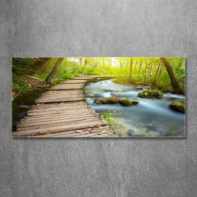 Tableau photo sur verre Chemin au bord de la rivière