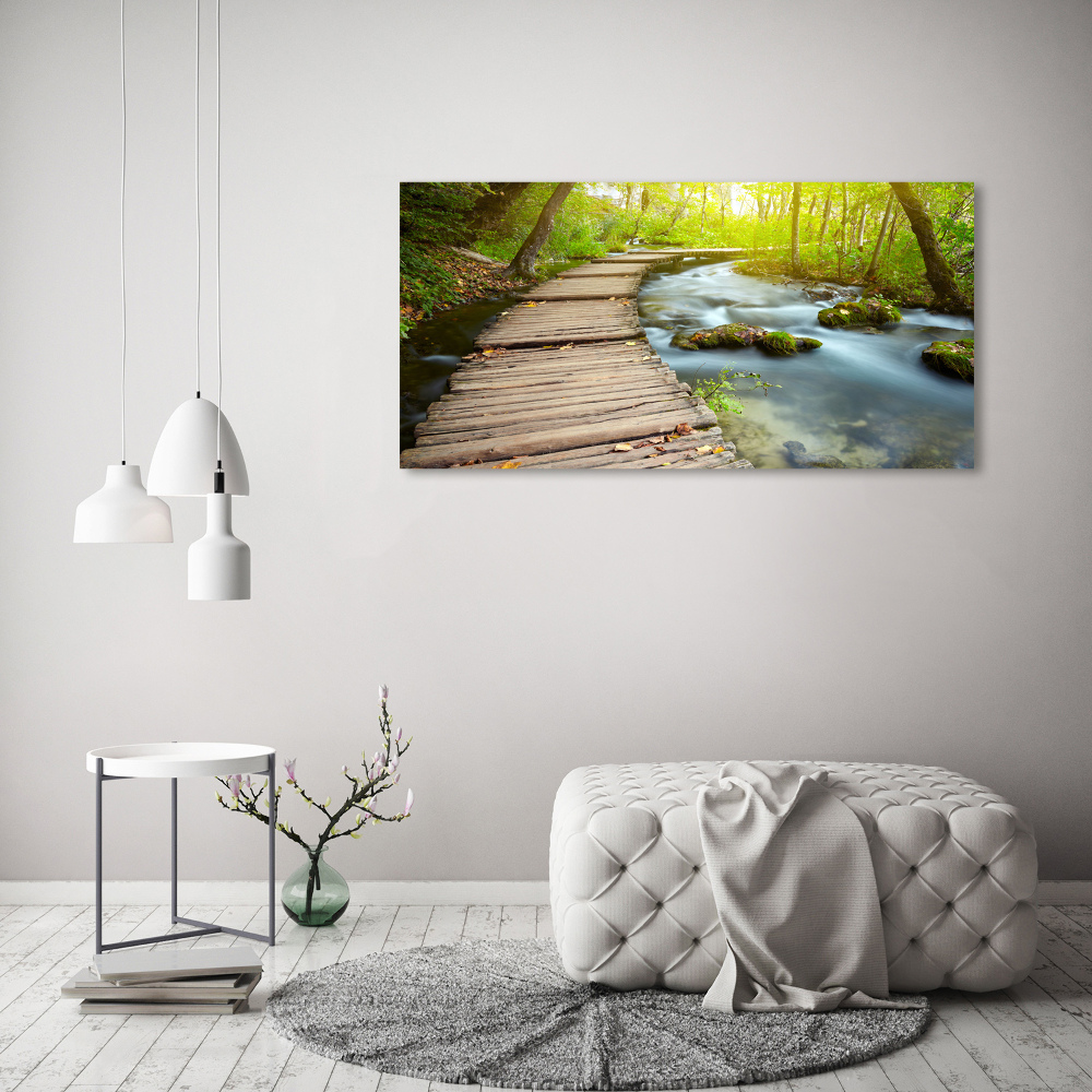 Tableau photo sur verre Chemin au bord de la rivière