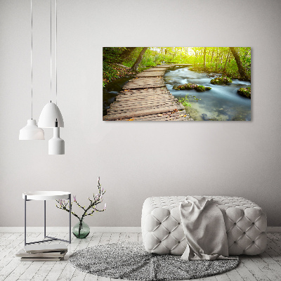 Tableau photo sur verre Chemin au bord de la rivière