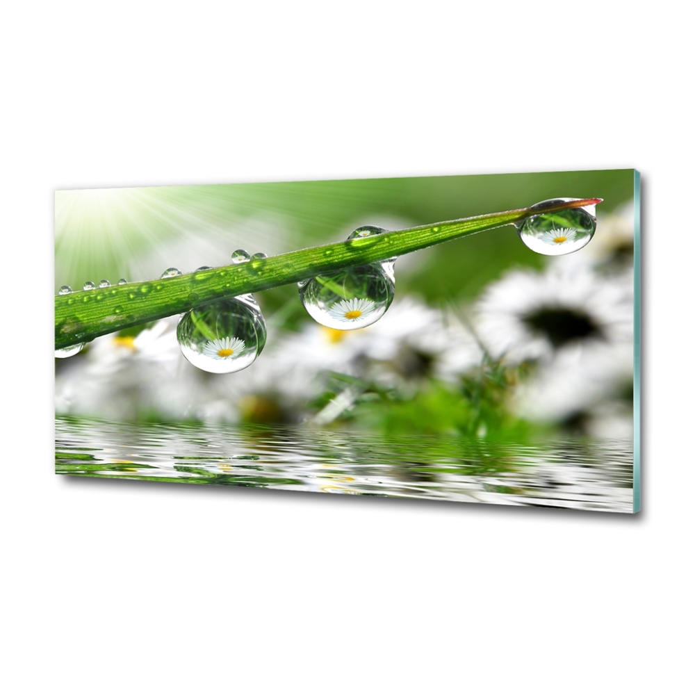 Tableau sur verre Gouttes sur l'herbe