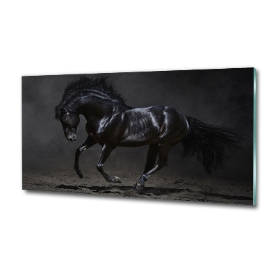 Tableau verre imprimé Cheval noir