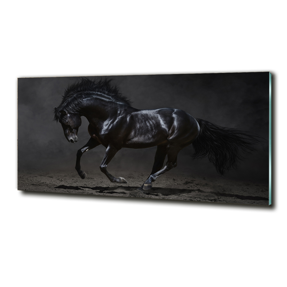 Tableau verre imprimé Cheval noir