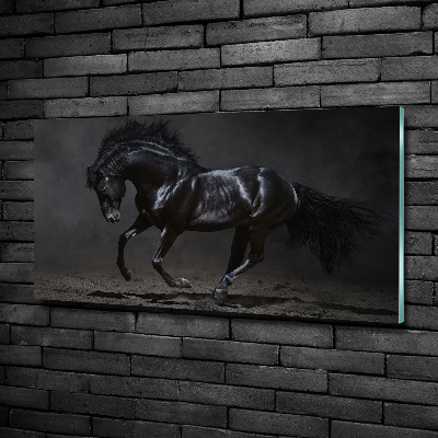 Tableau verre imprimé Cheval noir