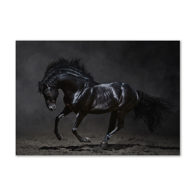 Tableau verre imprimé Cheval noir