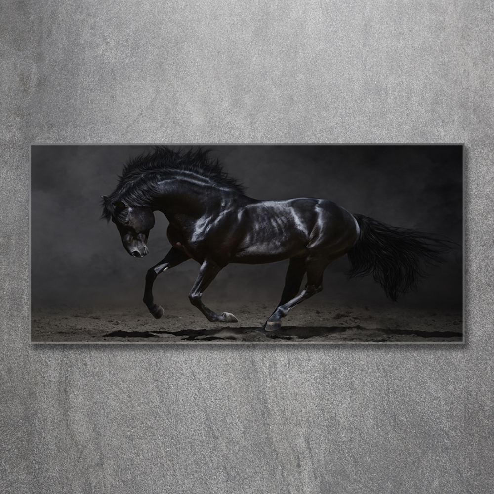 Tableau verre imprimé Cheval noir