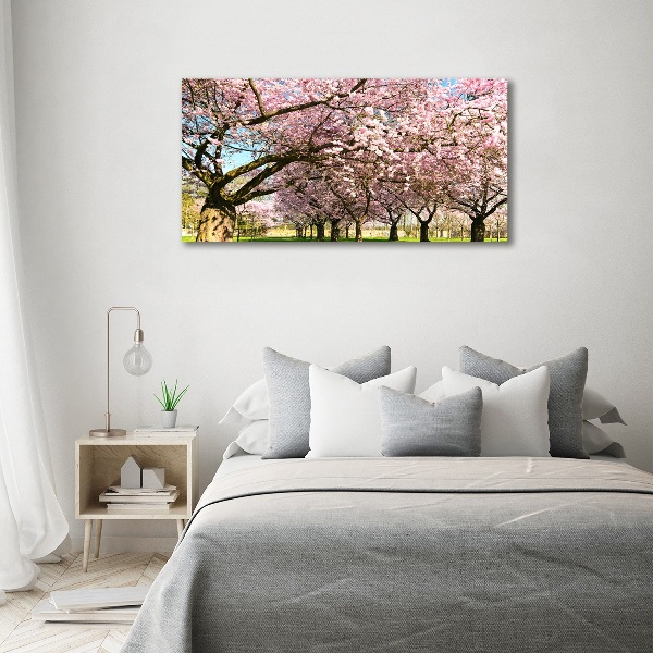 Tableau photo sur verre Cerisiers