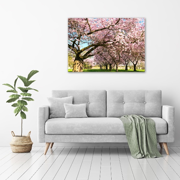 Tableau photo sur verre Cerisiers