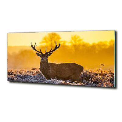 Tableau photo sur verre Cerf au lever du soleil